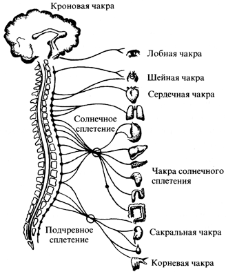 Charkas, Чакры